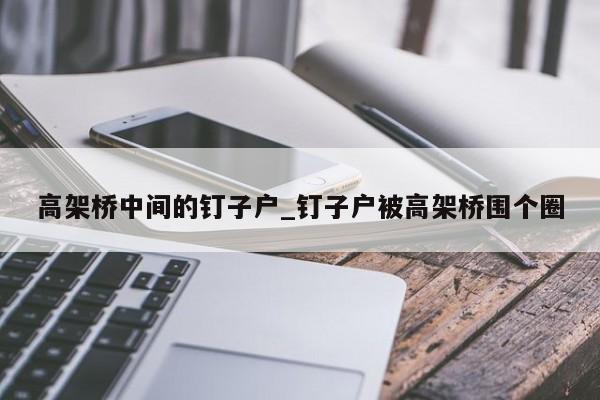 高架桥中间的钉子户_钉子户被高架桥围个