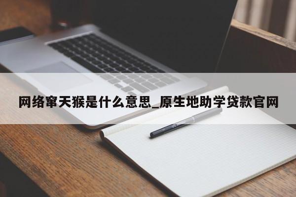 网络窜天猴是什么意思_原生地助学贷款官