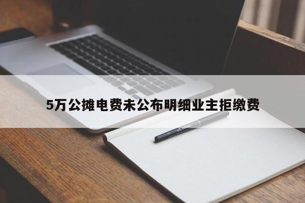 5万公摊电费未公布明细业主拒缴费