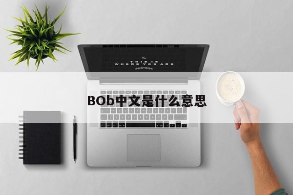 BOb中文是什么意思