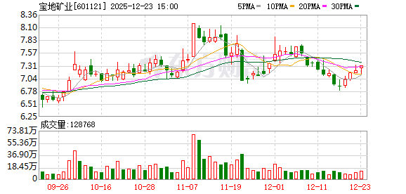 宝地矿业：公司对葱岭能源进行收购是基于深耕多年铁矿采选行业、对区域铁精