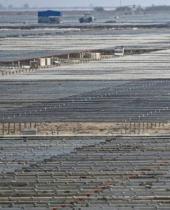 印度煤炭富翁沙漠建全球最大再生能源场