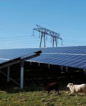 智库 ： 全球太阳能可满足北半球今年夏至高峰20%电力需求