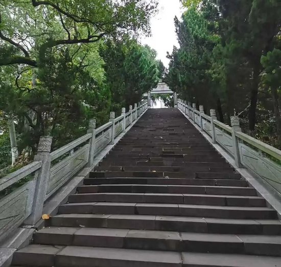 170亿资本入局,寿险市场迎来新晋保险巨