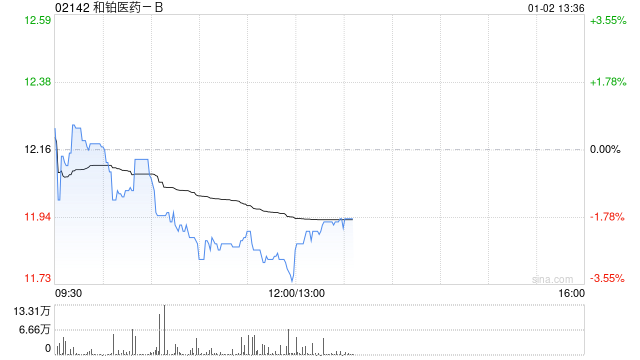 和铂医药-B授出30.9万份购股权